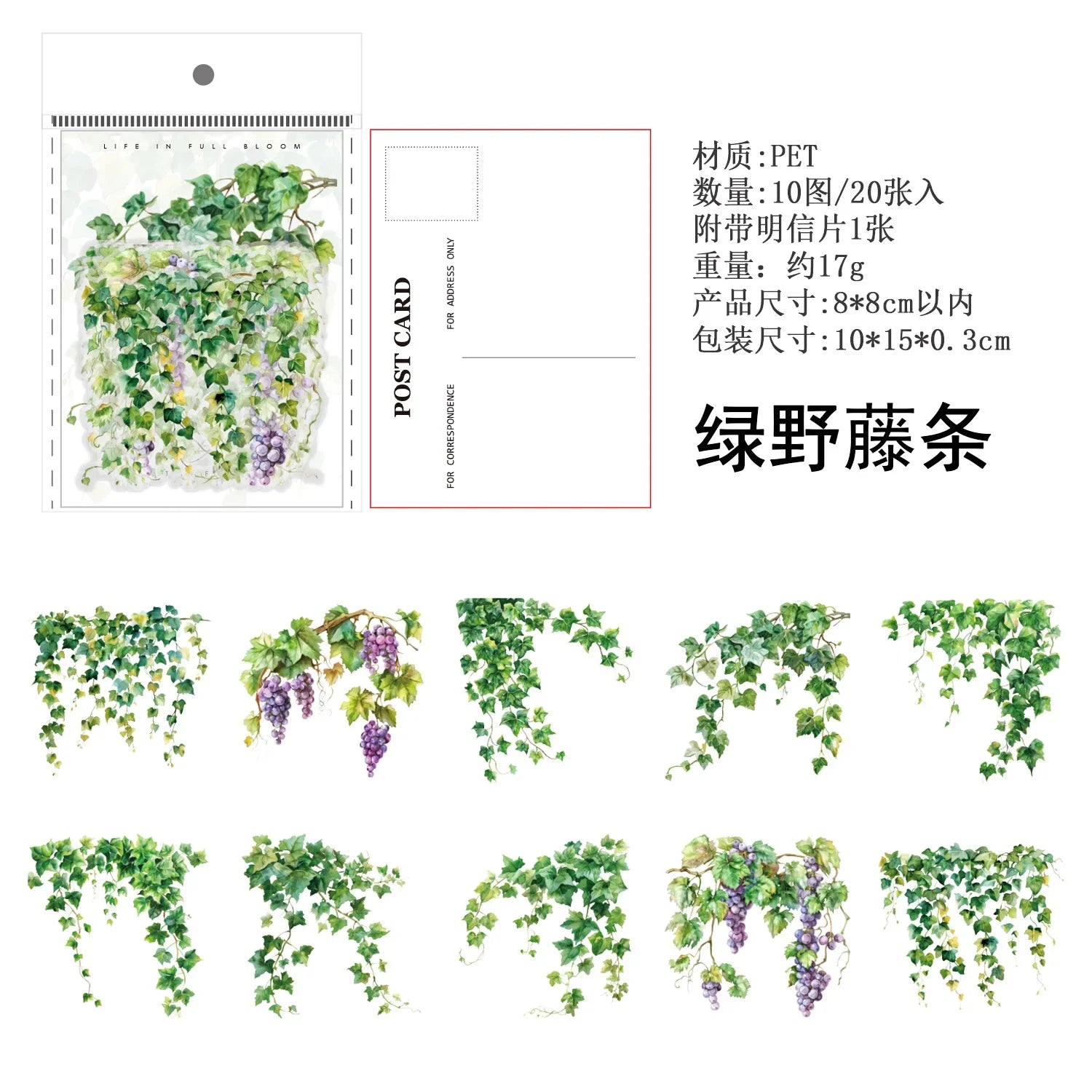 Vine Flowers Decorative Sticker Pack – Rose & Wisteria Series (20 Sheets)